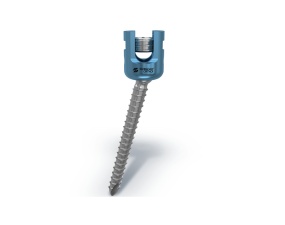 Polyaxial Screw